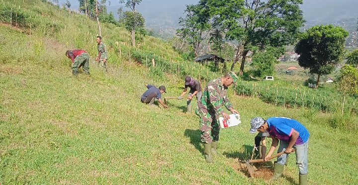 Subsektor 6 Giatkan Patroli dan Perawatan Pohon di Lahan Kritis.