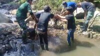 Patroli dan Pembersihan Sampah di Anak Sungai Citarum Dilakukan Sektor 2 Subsektor 5 di Wilayah Desa Cikitu.