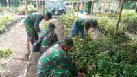 Sektor 2 Satgas Citarum Harum Subsektor 2 Melaksanakan Penanaman Bibit Pohon di Lahan Kritis.