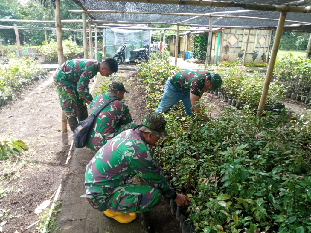 Sektor 2 Satgas Citarum Harum Subsektor 2 Melaksanakan Penanaman Bibit Pohon di Lahan Kritis.