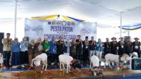 Kontes Domba Piala Rektor Universitas Garut Dongkrak Pendapatan Peternak Lokal Kontes Domba Piala Rektor Universitas Garut Dongkrak Pendapatan Peternak Lokal
