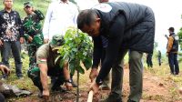 Dankodiklatad Pimpin Penanaman 500 Pohon di Jatigede, Wujud Kepedulian Lingkungan dan Sinergi Bersama Komunitas