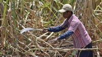 Kejagung dan KPK Usut Dugaan Korupsi HGU Lahan TNI AU di Lampung Senilai Rp14,5 Triliun Kejagung dan KPK Usut Dugaan Korupsi HGU Lahan TNI AU di Lampung Senilai Rp14,5 Triliun