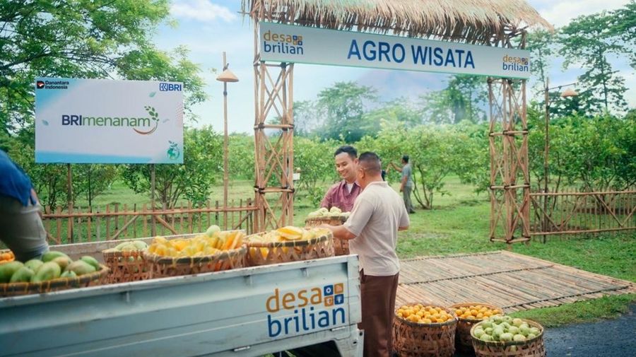 BRI Perkuat Ekonomi Desa, Program Desa BRILiaN Tembus 5.000 Desa hingga Akhir 2025