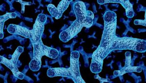 Penelitian Terbaru Denmark Technical University: Bakteri Usus Ini Bisa Turunkan Risiko Asma dan Alergi pada Bayi Penelitian Terbaru Denmark Technical University: Bakteri Usus Ini Bisa Turunkan Risiko Asma dan Alergi pada Bayi
