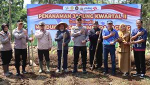 Polres Ciamis Genjot Ketahanan Pangan, Target 260 Ton Jagung di 2026