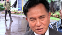 Yusril Tegaskan Pemerintah Tak Larang Nobar Film Dokumenter Pesta Babi