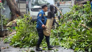 Farhan Ingatkan BPBD Bandung Tetap Siaga Meski Musim Kemarau, Antisipasi Cuaca Ekstrem dan Banjir Jadi Prioritas