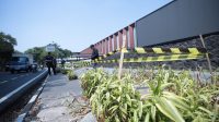 Penebangan 35 Pohon di Bandung Diusut, Farhan: Jika Terbukti Terkait Videotron, Kita Segel
